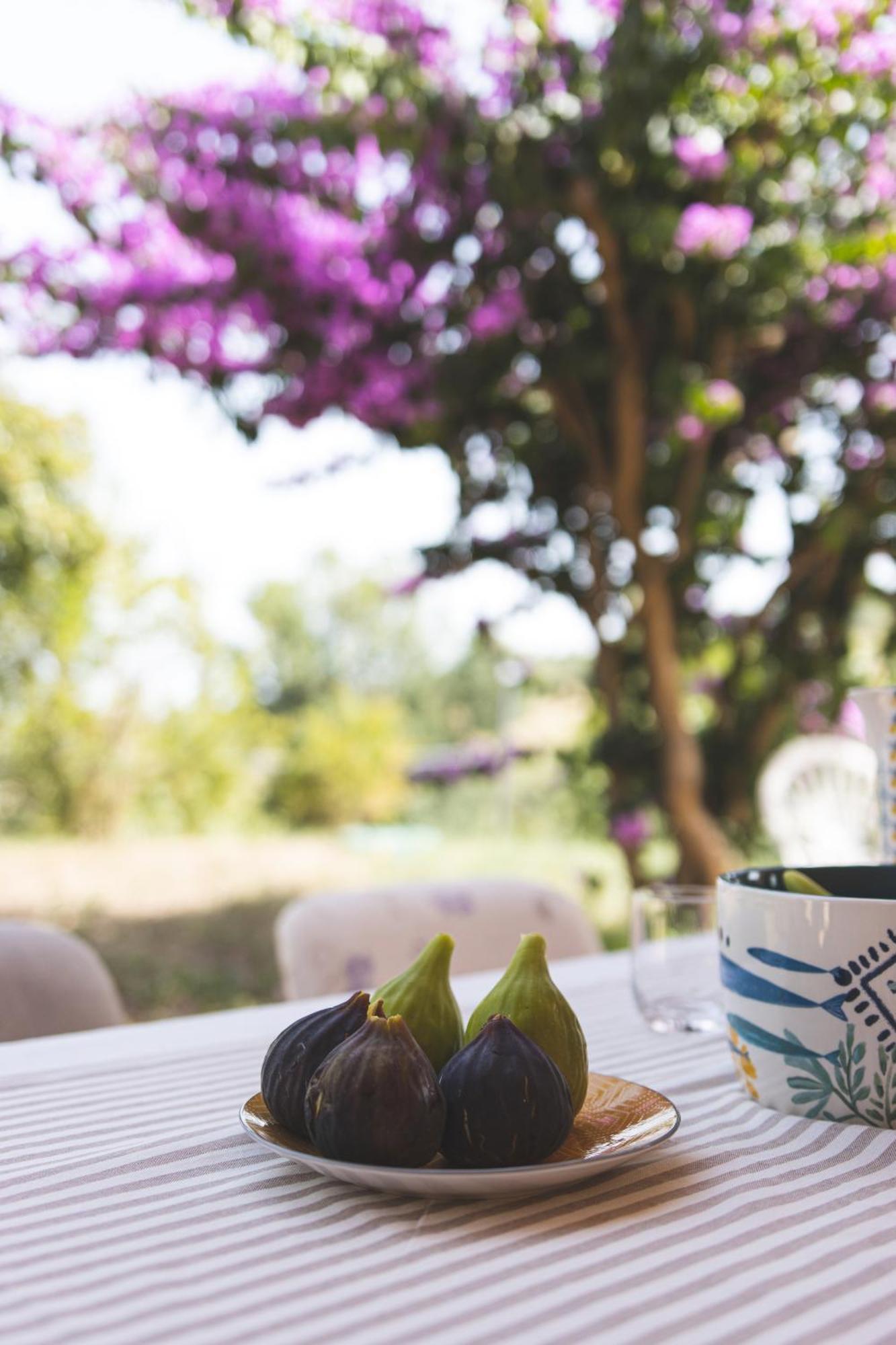 Villa Mariposa Civitanova Marche Dış mekan fotoğraf
